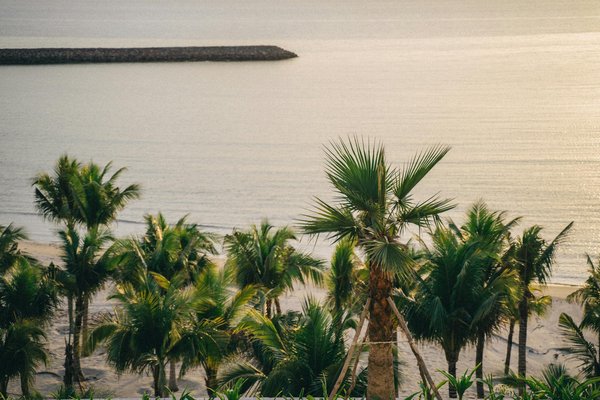 Location vélo à Porquerolles : tarifs et types disponibles !